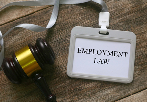 Employment Lawyer | Beverly Hills, CA | Vision Law